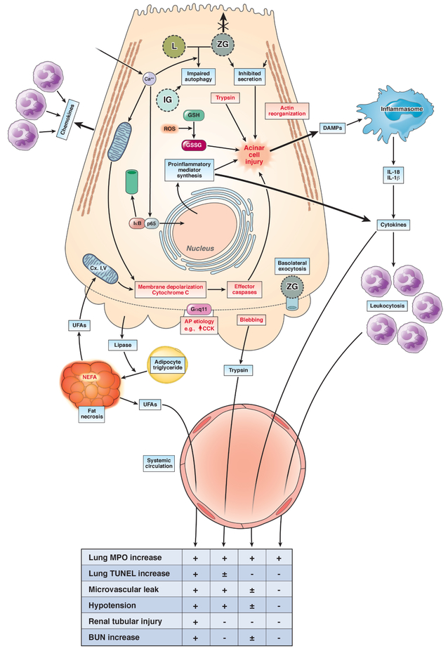 Figure 2: