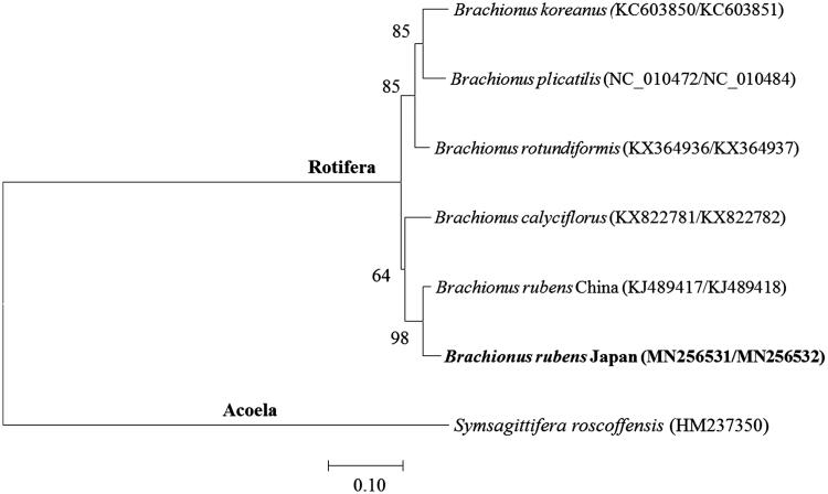 Figure 1.