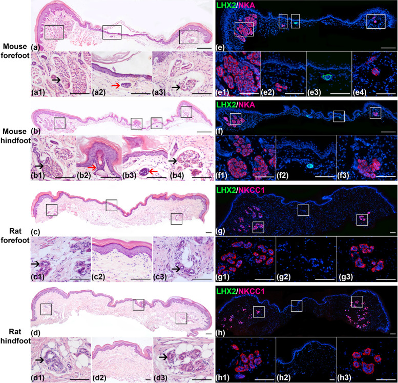 Fig. 2