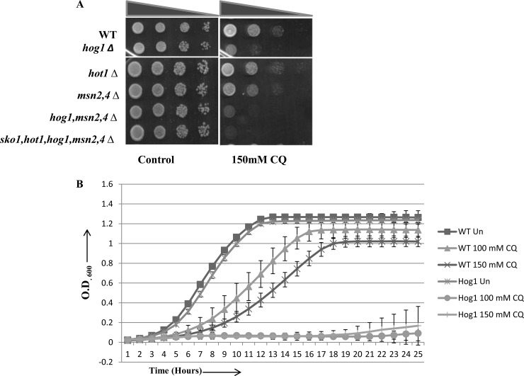 FIG 4