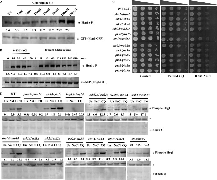 FIG 3