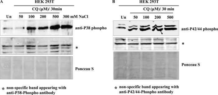 FIG 8