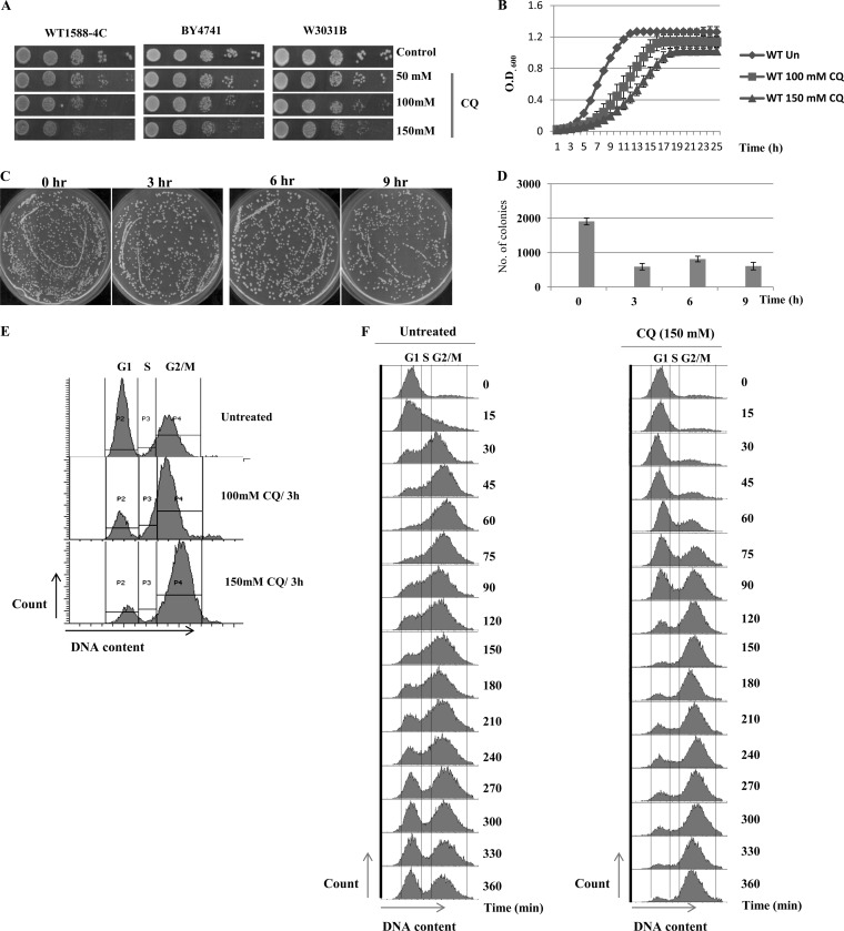 FIG 1