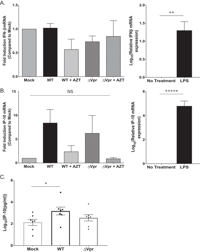 FIG 3