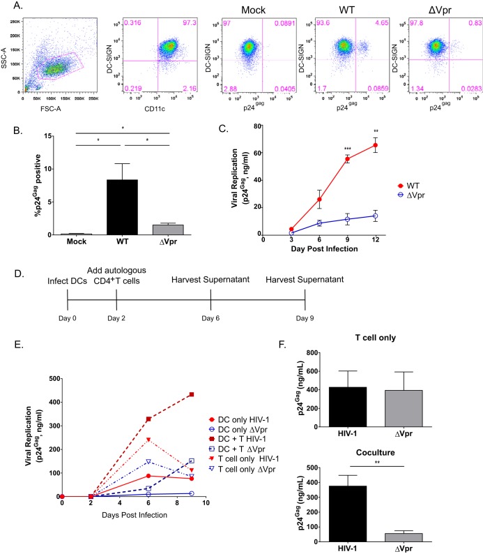 FIG 1