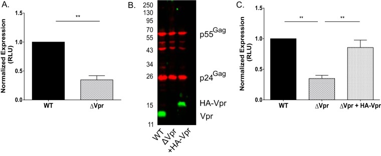 FIG 4