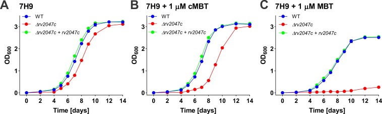 Fig 6