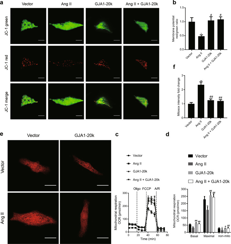 Fig. 10