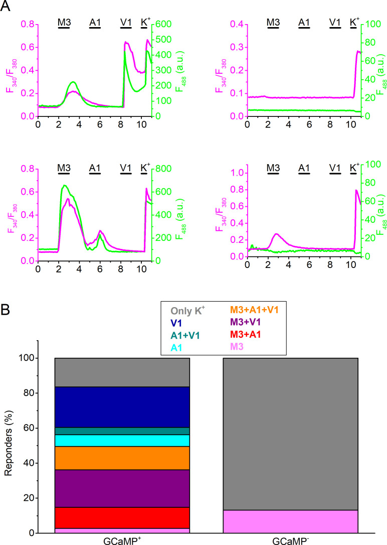 Figure 2—figure supplement 1.