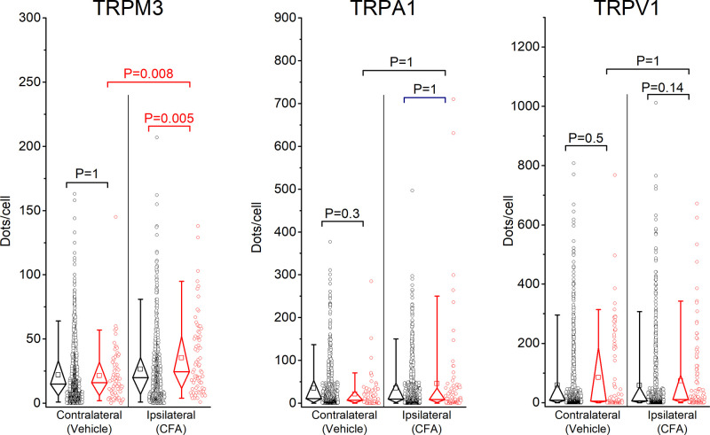 Figure 1—figure supplement 2.