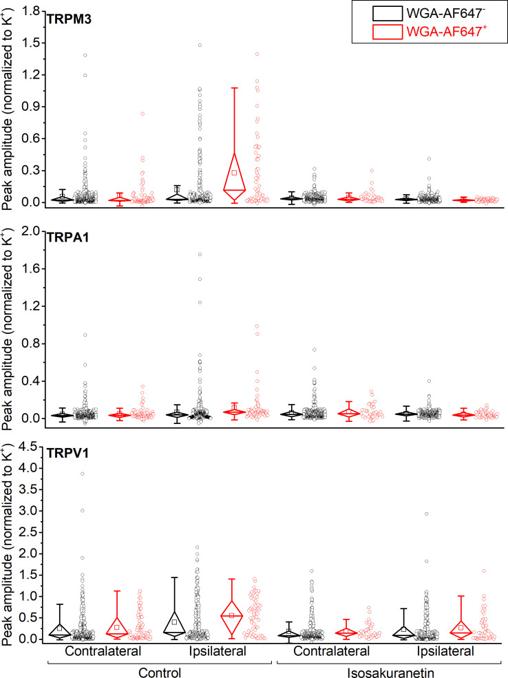 Figure 2—figure supplement 2.