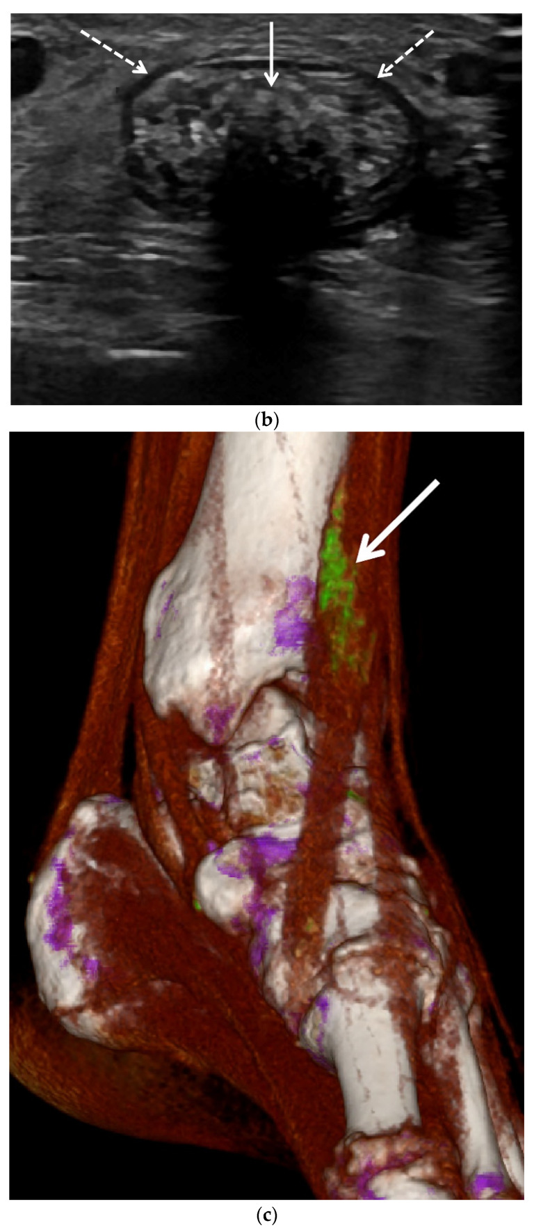 Figure 10