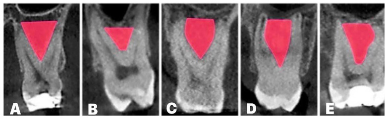 Figure 6