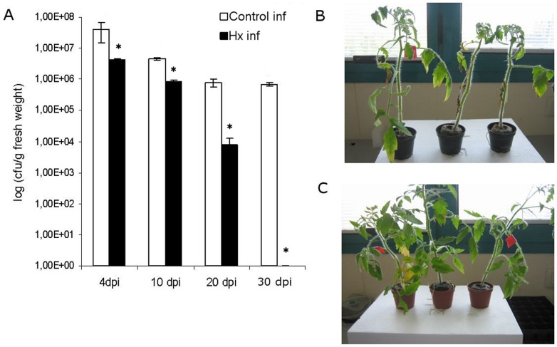 Figure 10