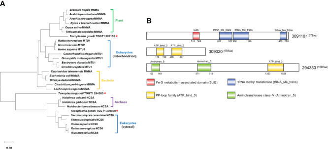 Figure 1