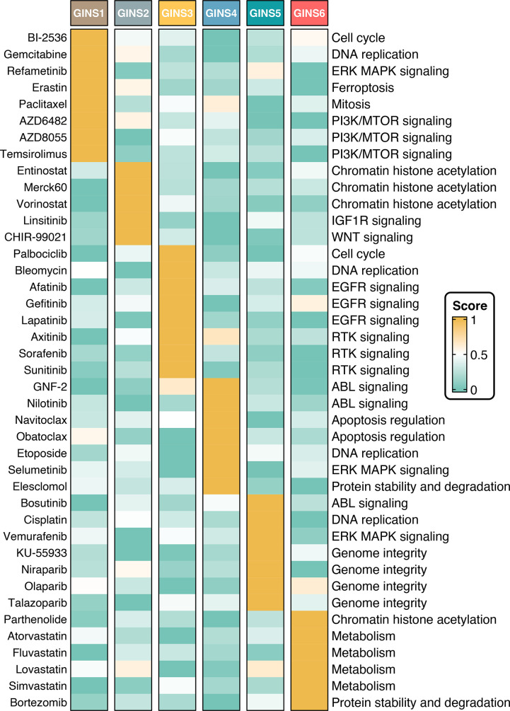 Figure 10—figure supplement 4.