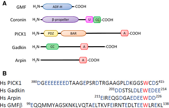 Fig. 1