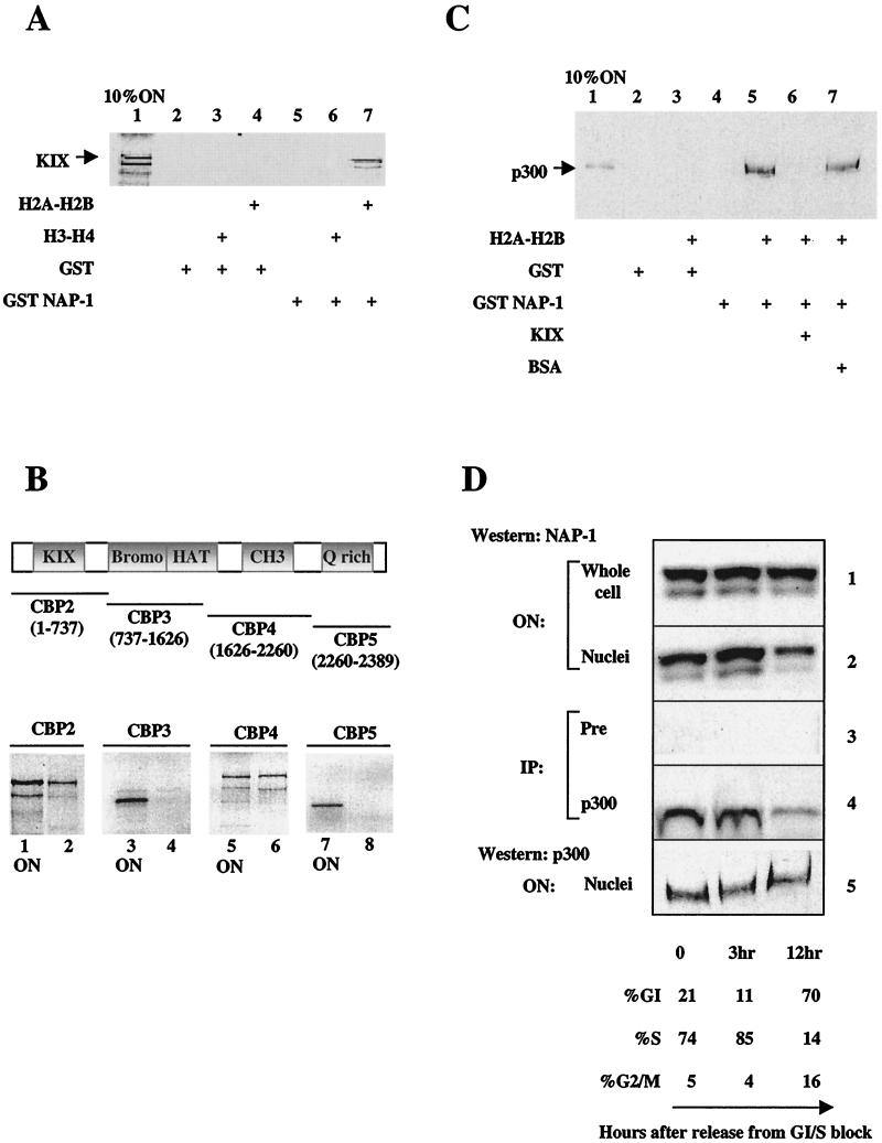 FIG. 2.