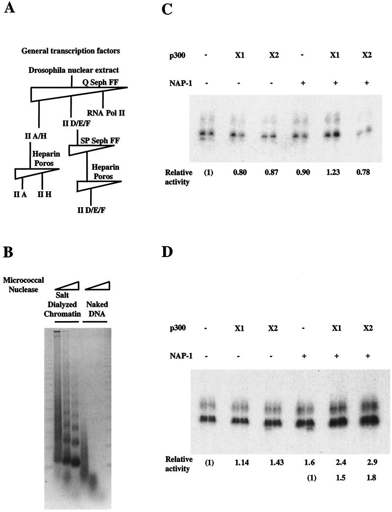 FIG. 5.