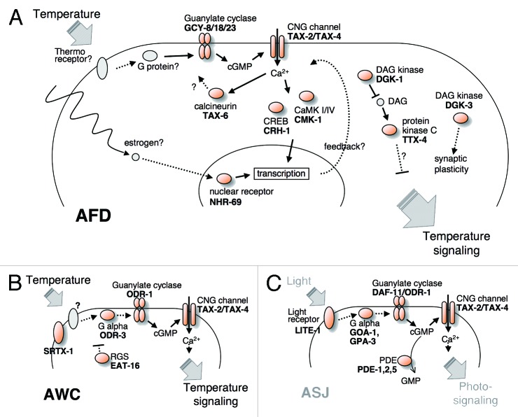 Figure 3. 