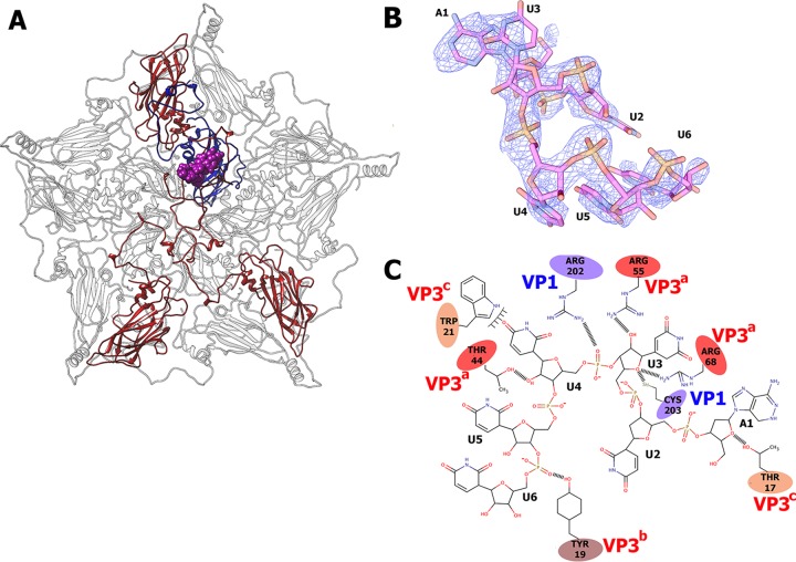 FIG 8