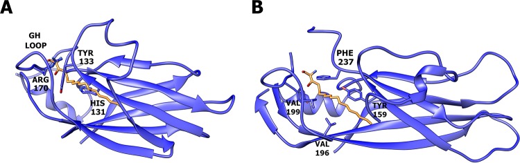 FIG 2