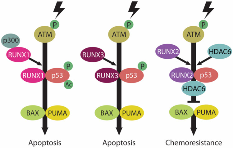 Figure 1-1.