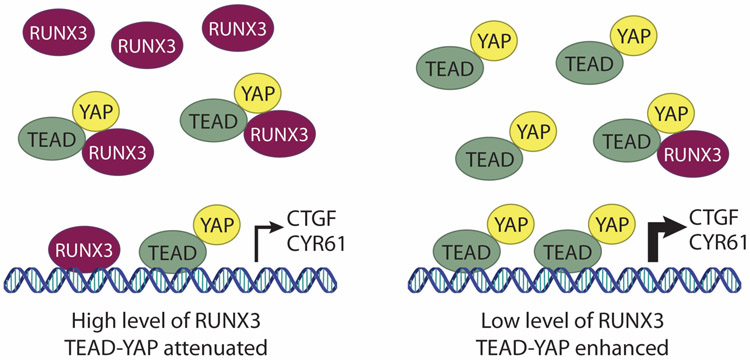 Figure 1-4.