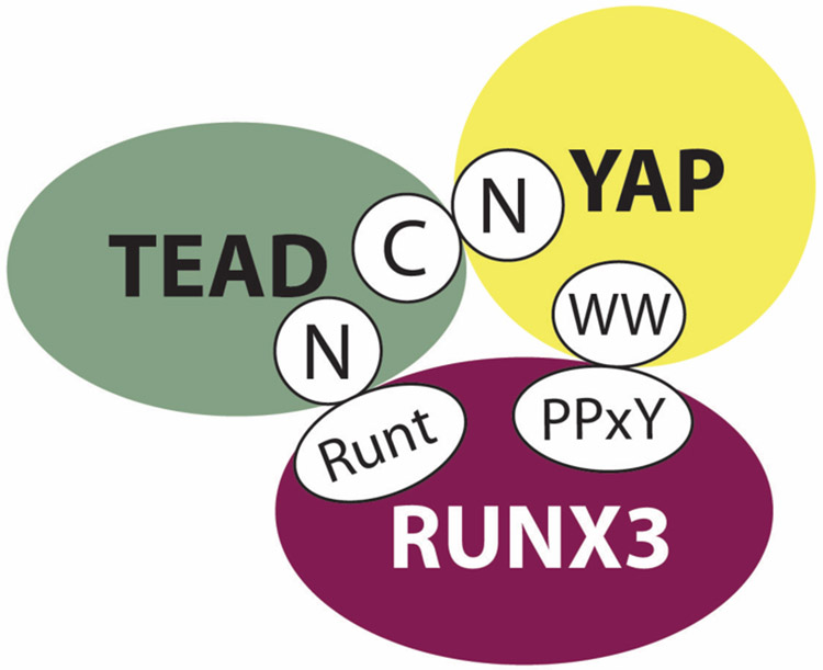 Figure 1-3.