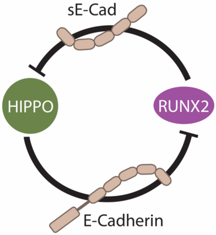 Figure 1-2.