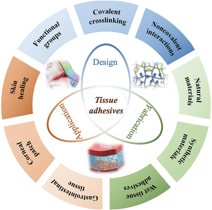 Tissue adhesives for wound closure - PMC