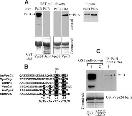 FIGURE 2.