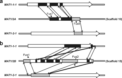 FIG. 5.