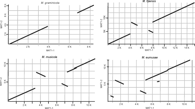 FIG. 2.