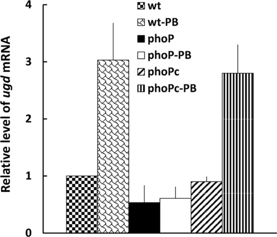 FIG 7