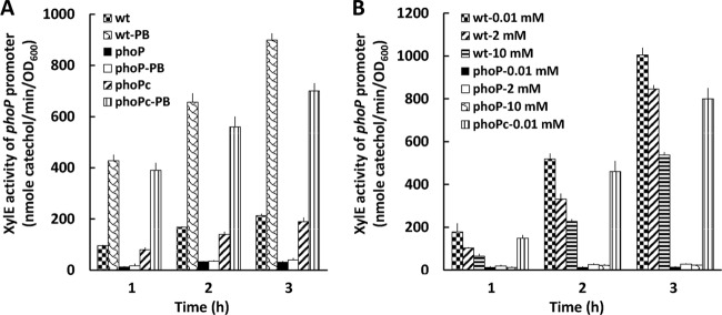 FIG 3