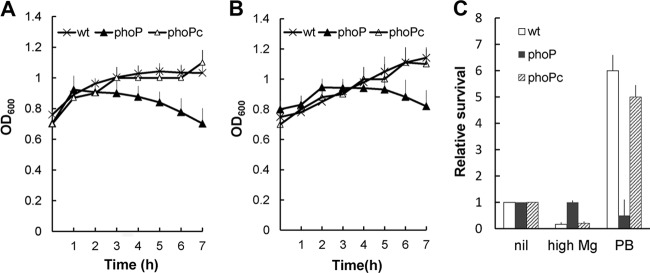 FIG 6