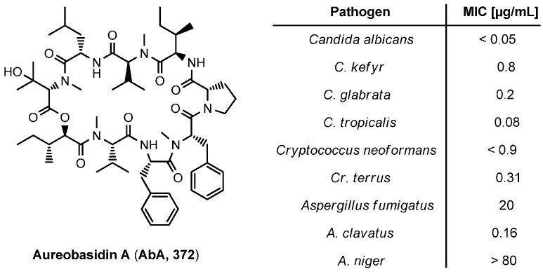 Figure 33