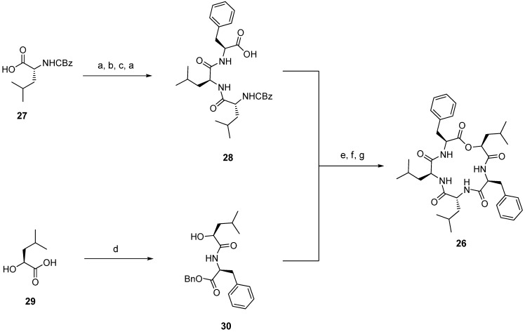 Scheme 4