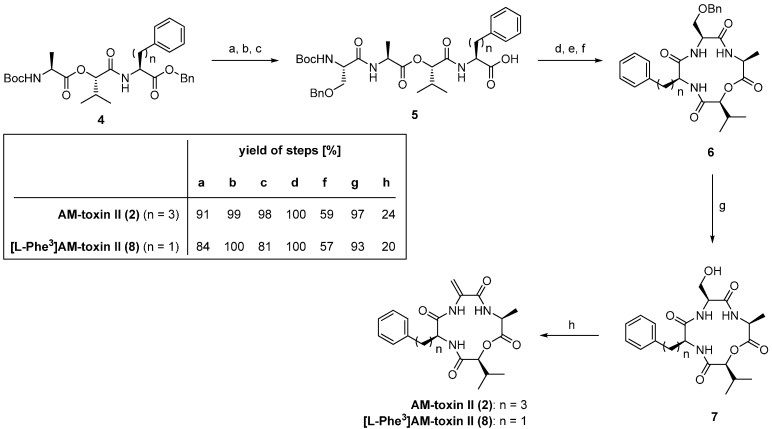 Scheme 1