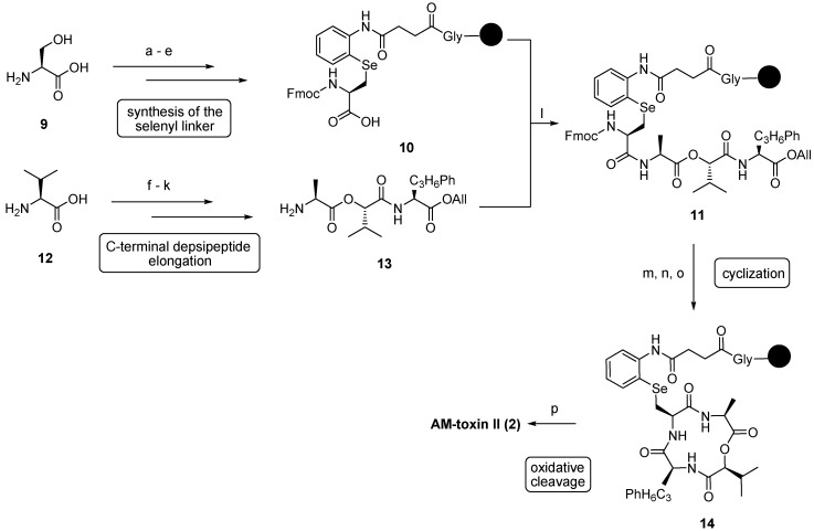 Scheme 2