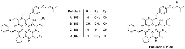 Figure 19