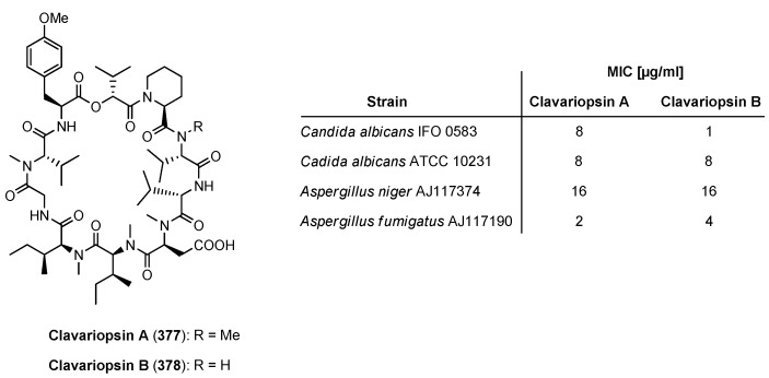 Figure 34