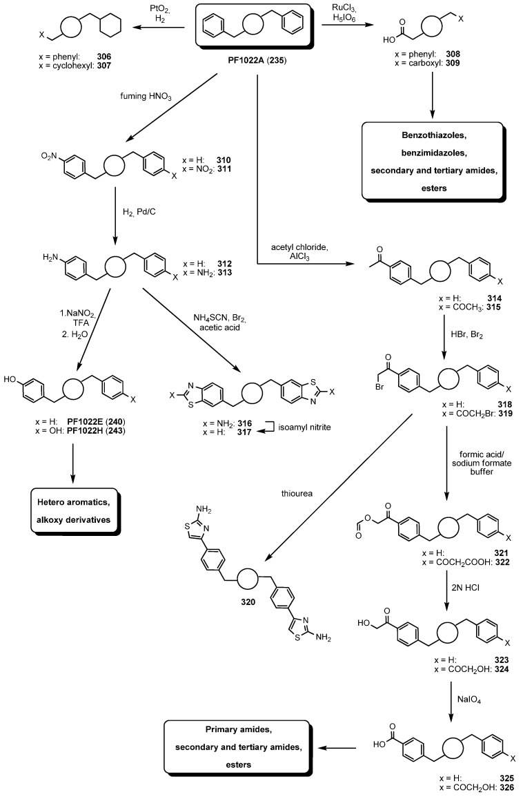 Scheme 19