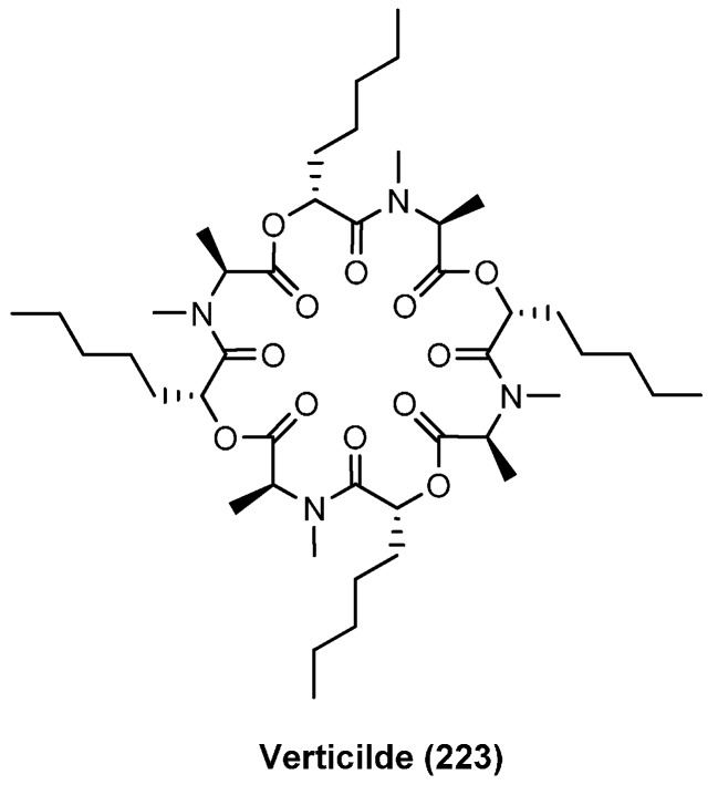 Figure 24