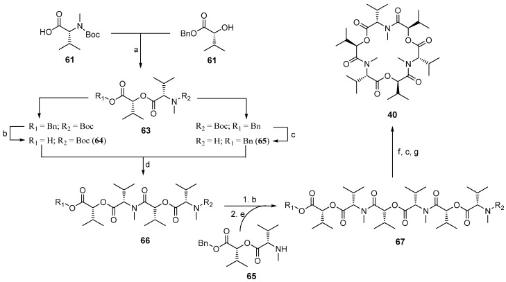 Scheme 5