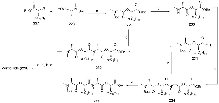 Scheme 13