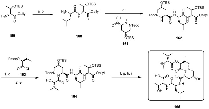 Scheme 8