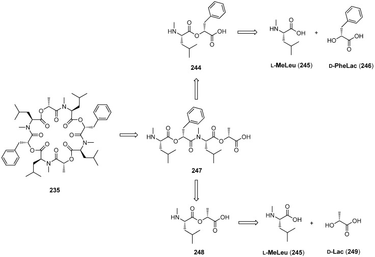 Scheme 14