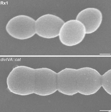 FIG. 7.